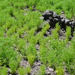 2008 08 gr 4emejour 130