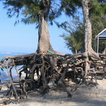 Filaos plage Ermitage 2